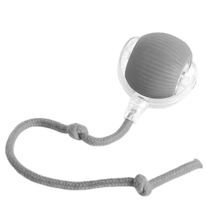 BounceTug Play Ball – Interactive Pet Toy 5