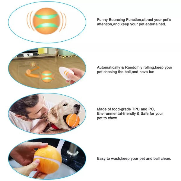 Remote Control Pet Bounce Ball 5