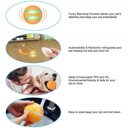 Remote Control Pet Bounce Ball 5