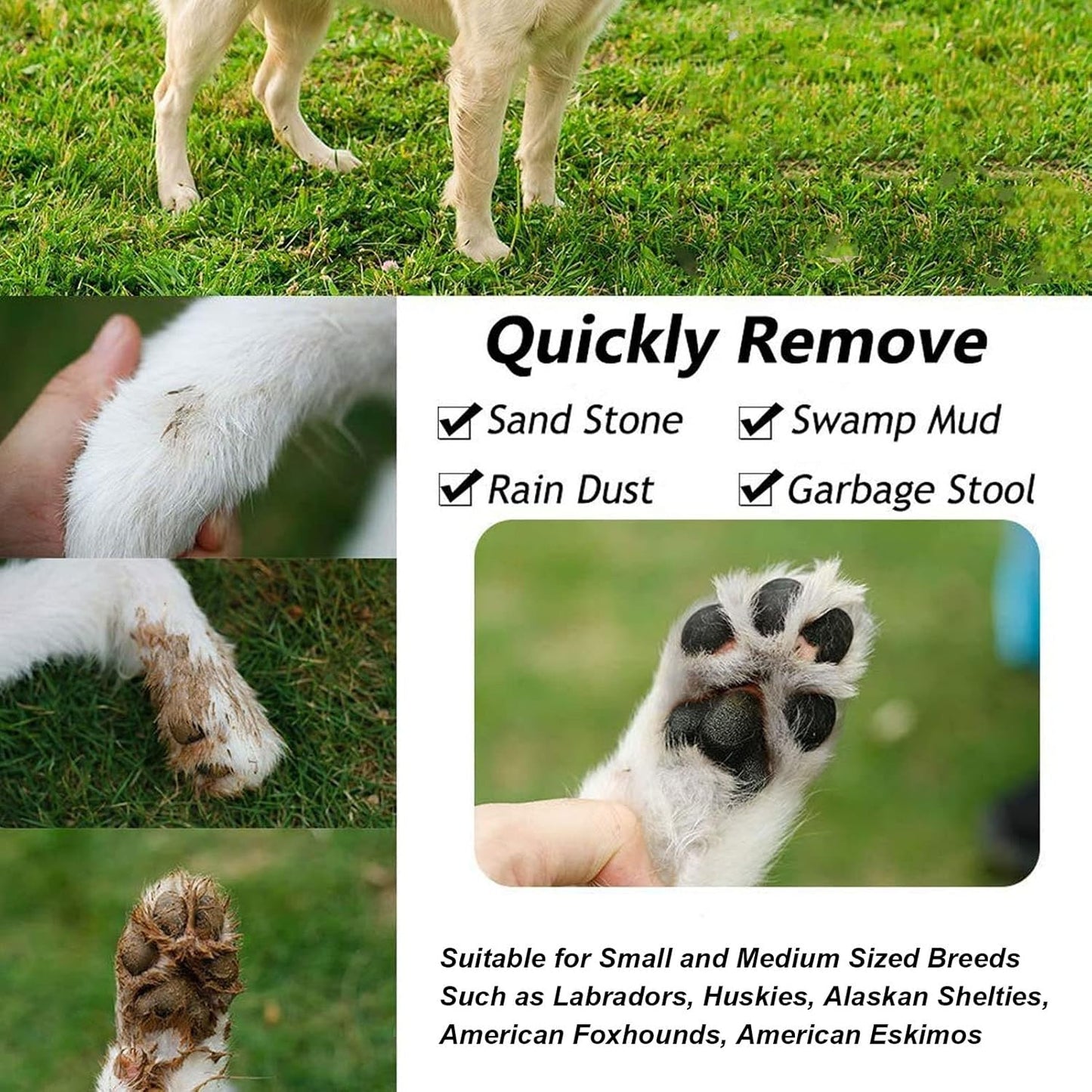 Rechargeable Automatic Dog Paw Cleaner 5