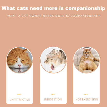 Interactive Cat Food Toy 5