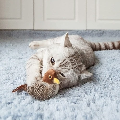 Singing Sparrow Shaped Bird  Cat Toy 5