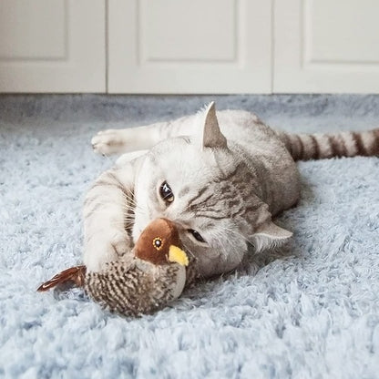Singing Sparrow Shaped Bird  Cat Toy 5