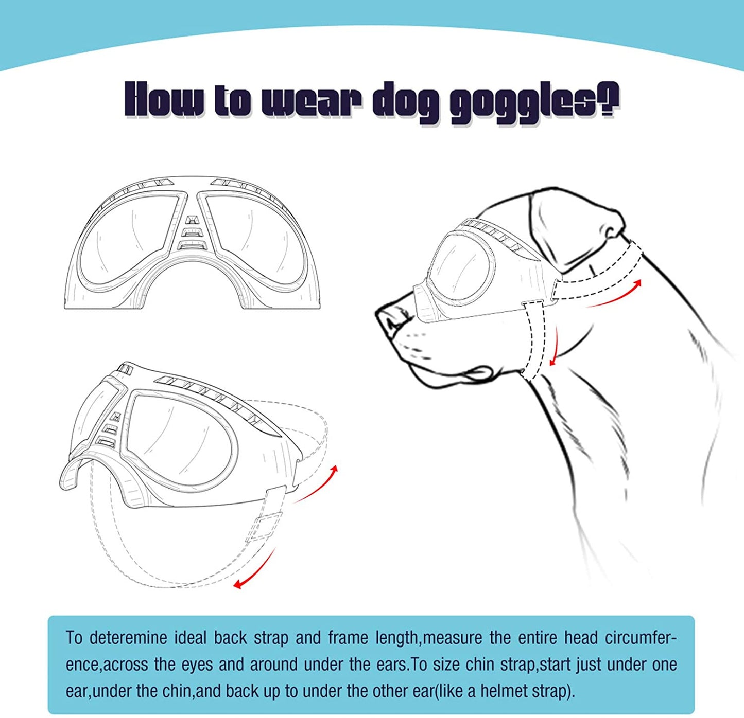 Dog Goggles Large & Small Breed 5