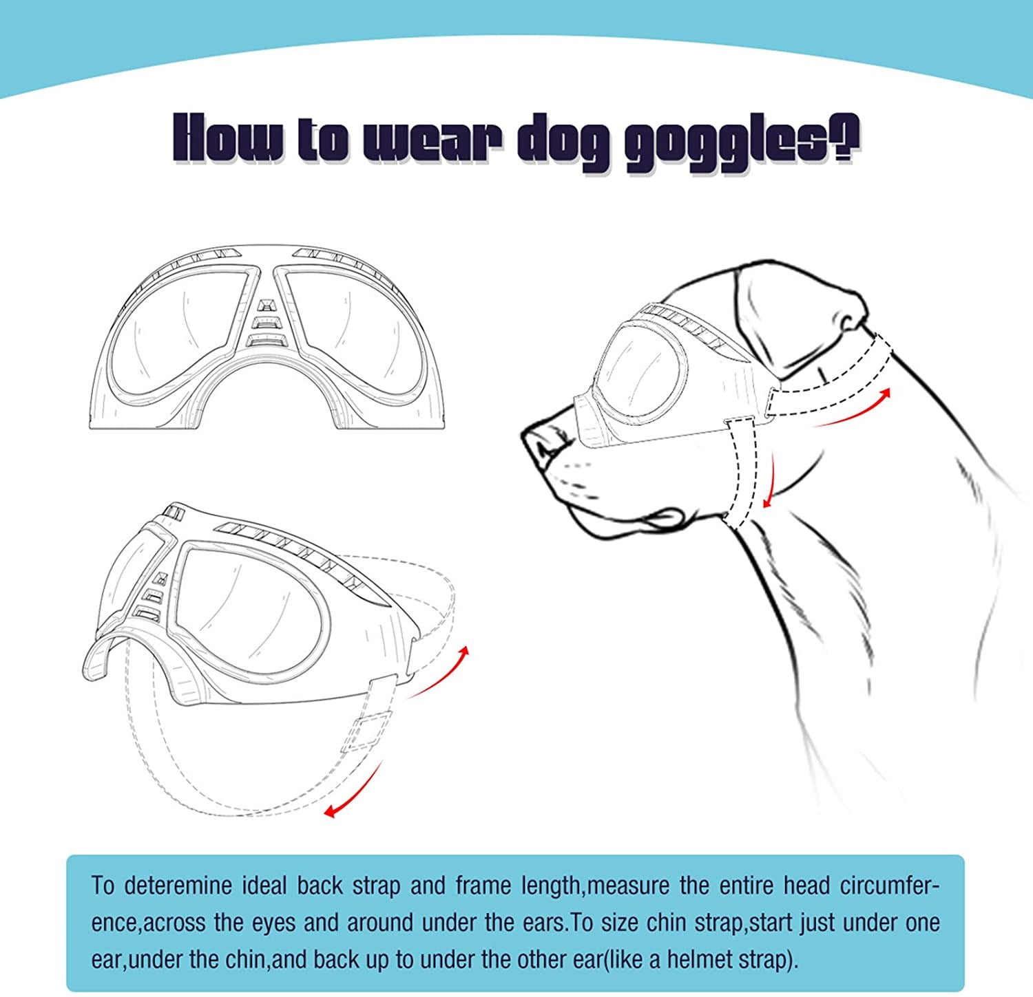 Dog Goggles Large & Small Breed 5