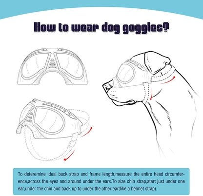 Dog Goggles Large & Small Breed 5