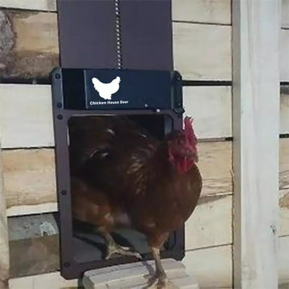 Poultry Farm Automatic Chicken House Door 5