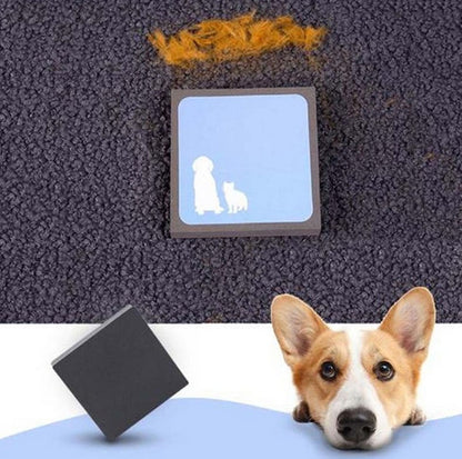 Magic Pet Hair Lifter Sponge 5