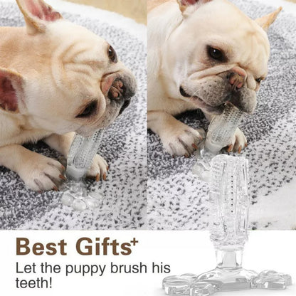Dog Tooth-Brush- Medium 5