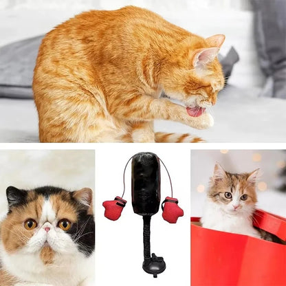 Interactive Cat Punching Bag Toy 5