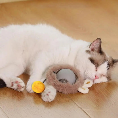 Furry Hide-N-Roll Interactive Cat Toy 5