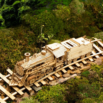 Super Wooden Mechanical Model Puzzle 5