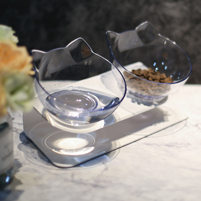 Anti-Vomiting Orthopedic Pet Bowl 5