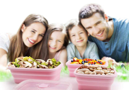 Pack&Go Collapsible Lunch Box 5
