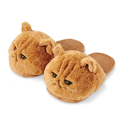 Lazy Cat Slippers 5