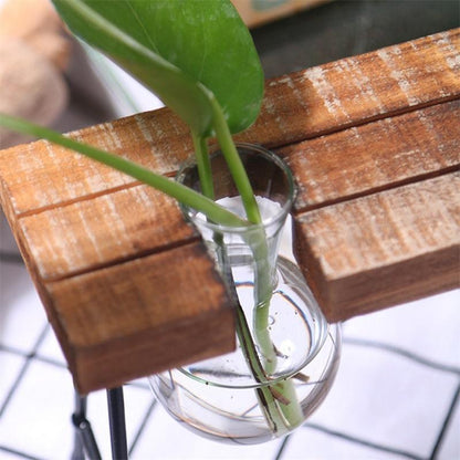 Plant terrarium with wooden stand 4