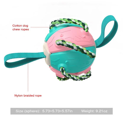 Interactive Flying Disk Ball Dog Toy 5