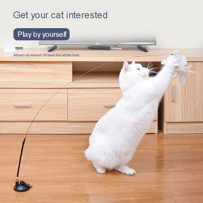 Cat Wand Toy 5