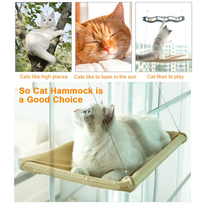 Cat Window Hammock 5
