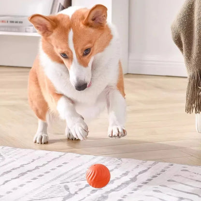 Interractive Motion Activated Rolling Ball Dog Toy 5