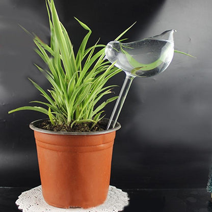 Bird Self Watering Globe 5