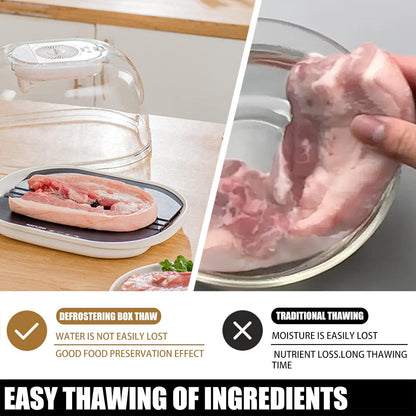 2 in 1 Defrosting Box with HDF Aluminum Thawing Plate 5