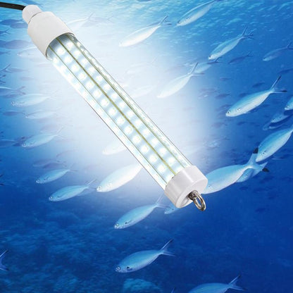 Fishing green light 5
