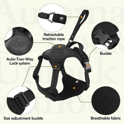 Dog Harness and Retractable Leash Set All-in-One 5