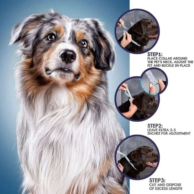 Flea and Tick Pet Collar 5