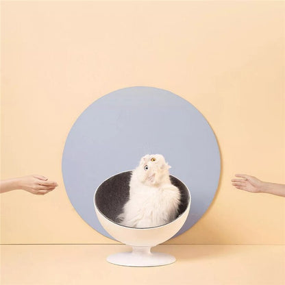Cool Cat Bed 5