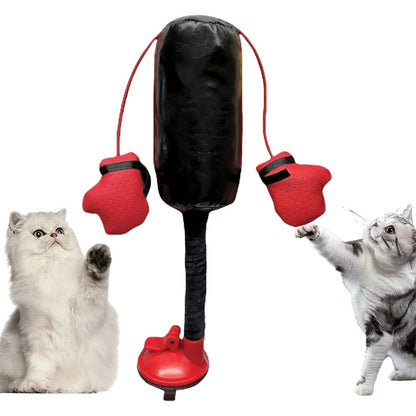 Cat Punching Bag Toy 5