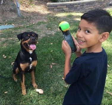 Dog selfie stick ball 3