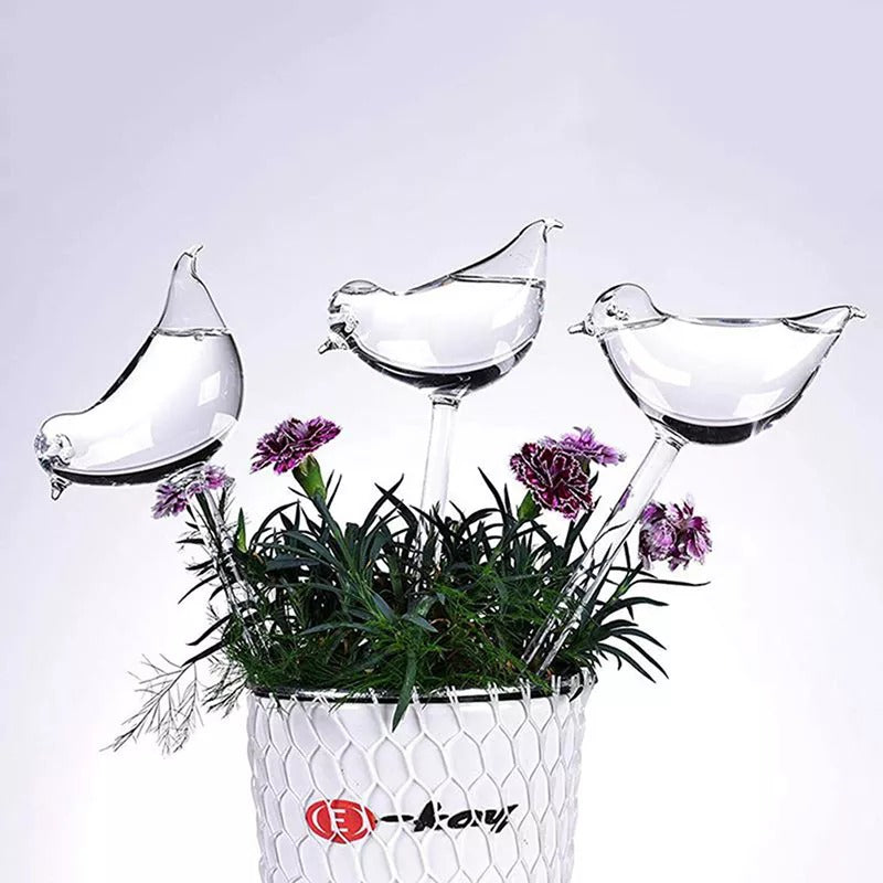 Self-Watering Plant Glass Bulbs-2PCS 5