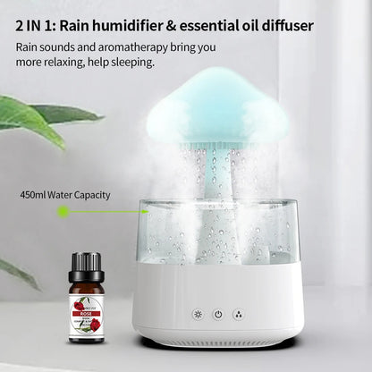 Rain Cloud Diffuser Humidifier 5