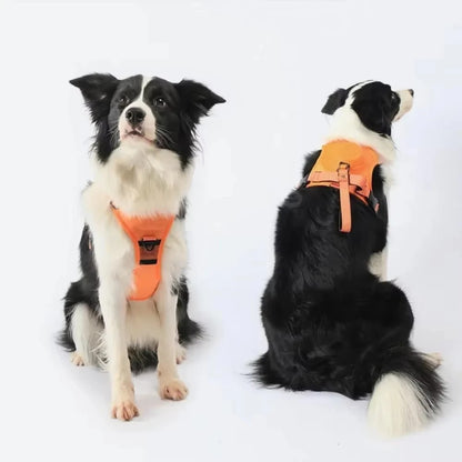 No-Pull Adjustable Dog Harness with Leash 5