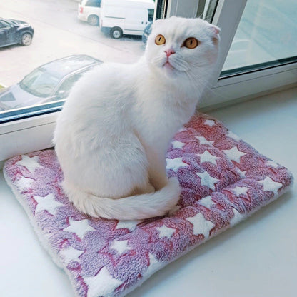 Cosy Calming Pet Blanket 5