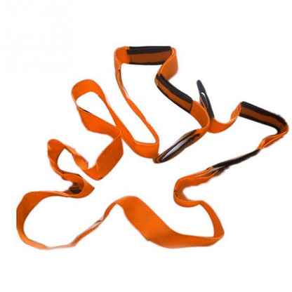 Lifting Moving Strap 5
