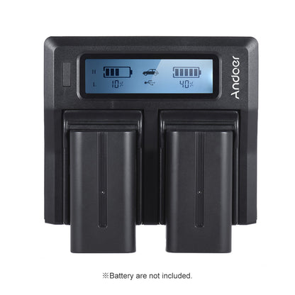 Dual Digital Battery Charger 5