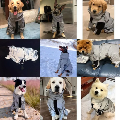 Reflective All-Weather Waterproof Dog Rain Coat 5