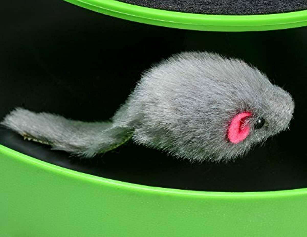 Interactive Cat Toy 5