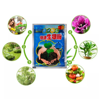 Growth Rooting Powder Plus-10pcs 5
