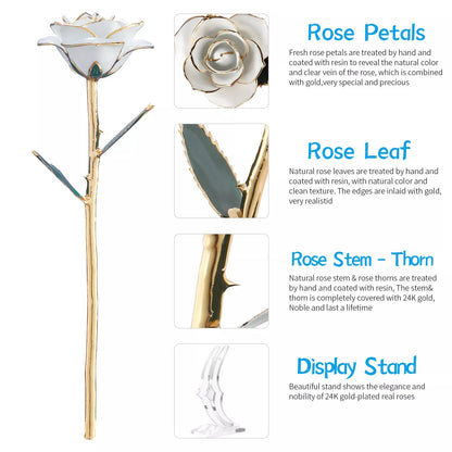 24k Gold Dipped Rose 6
