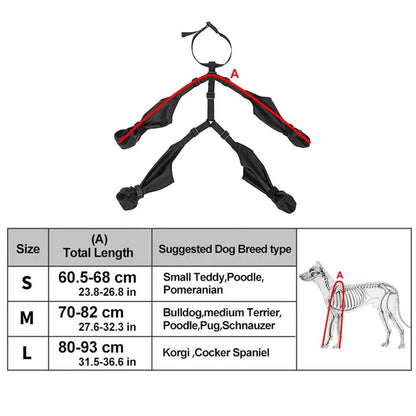 Suspender Dogs Boots 6