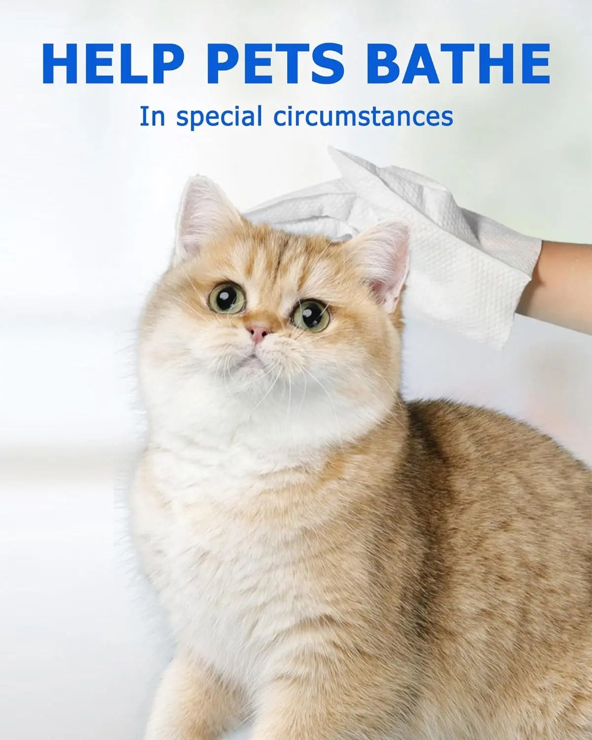 Pet Bathing Wipes 5