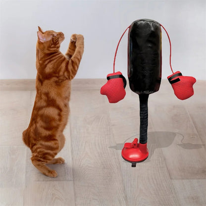 Cat Punching Bag Toy 6