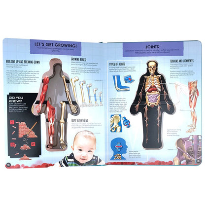 Anatomy of The Human Body 3D Picture Book 6