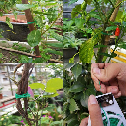Garden Plant Fixed Rope 6