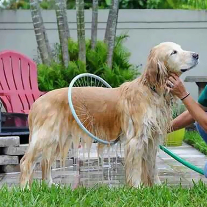 360° Pet Washer 6