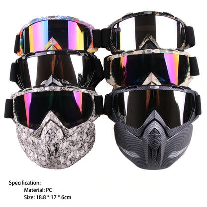 Premium full face snow mask 6