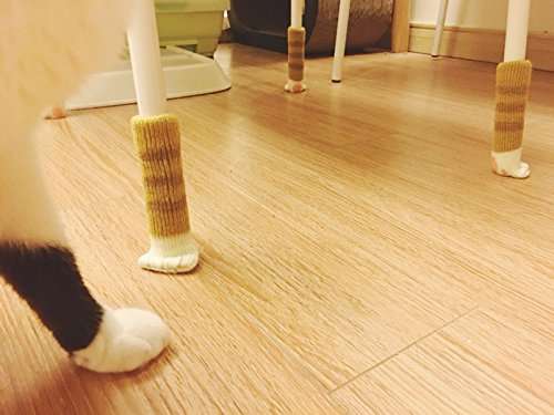 Cat Paw Chair Socks 6